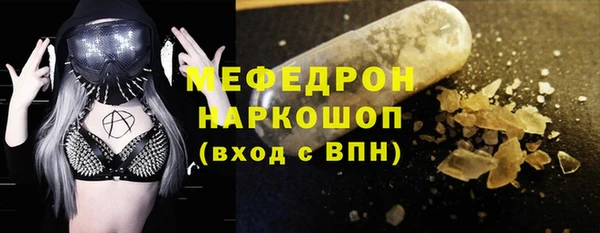 СК Алексин