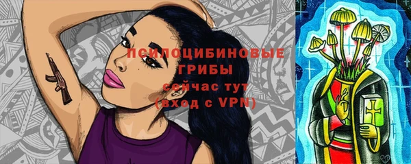 прущая мука Алзамай