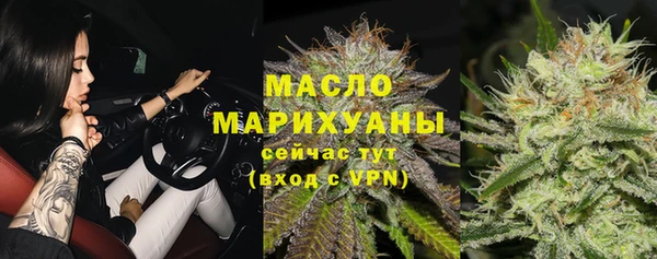 СК Алексин