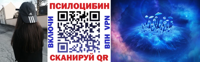 как найти закладки Куровское Галлюциногенные грибы GOLDEN TEACHER